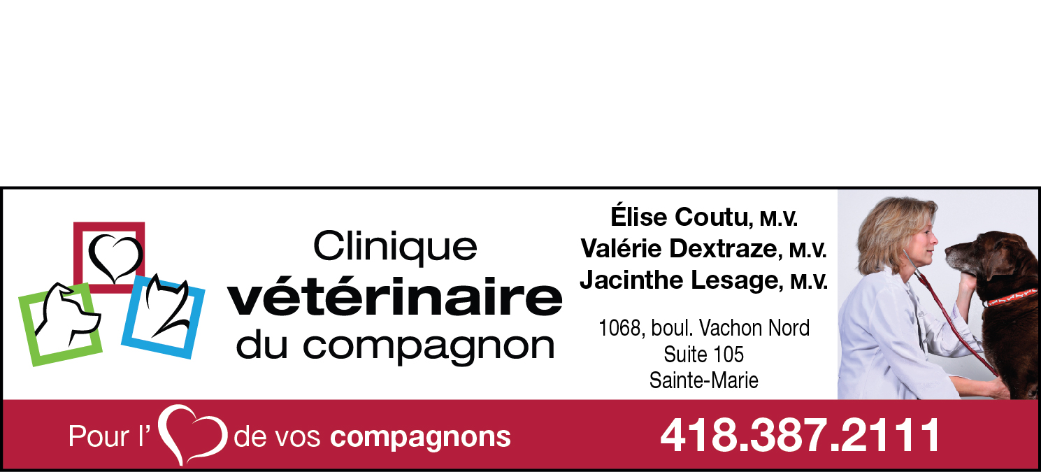 16350 Gestion Elise Coutu